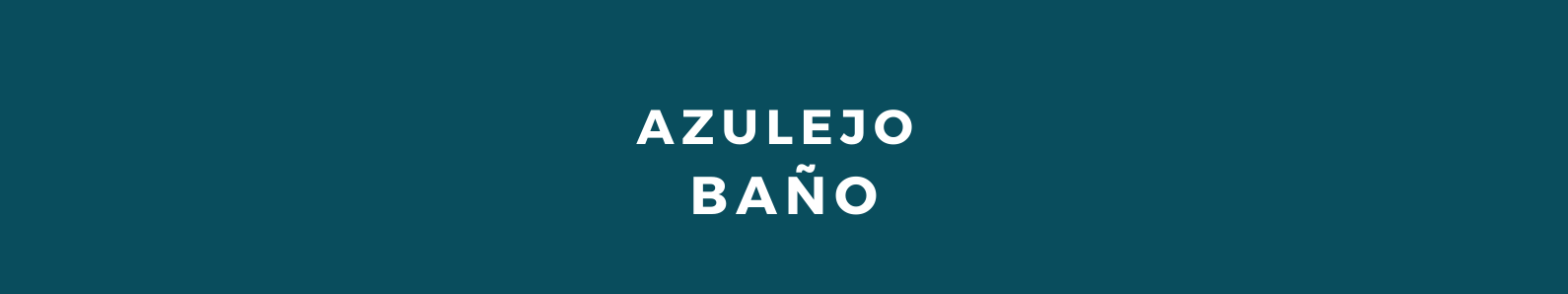 Azulejo baño